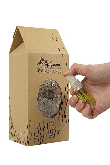 La Boîte à Champignons Lista para cultivar - (clásica para 2 ...