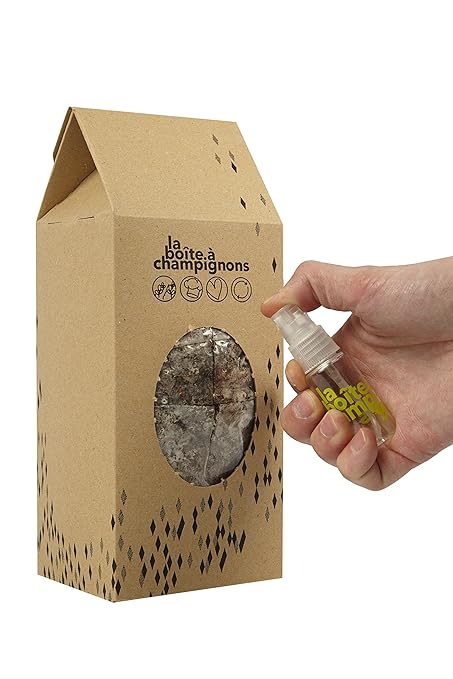 La Boîte à Champignons Lista para cultivar - (clásica para 2 ...