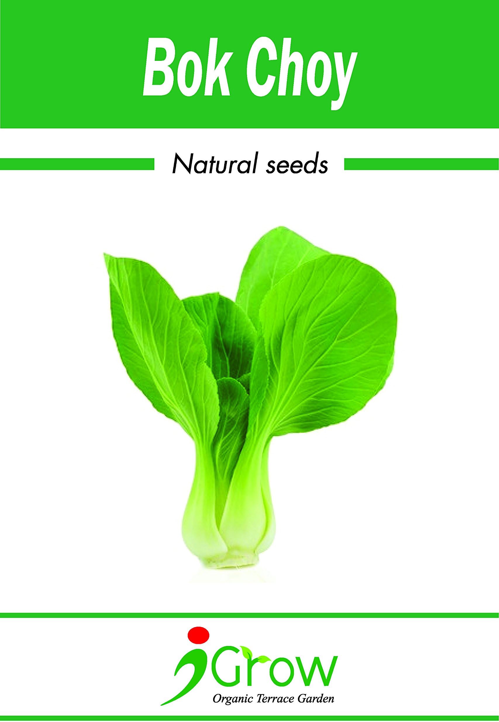 Naturally Treated Organic Bok Choy Seeds, 100 Seeds (50 Seeds X Pack of 2)