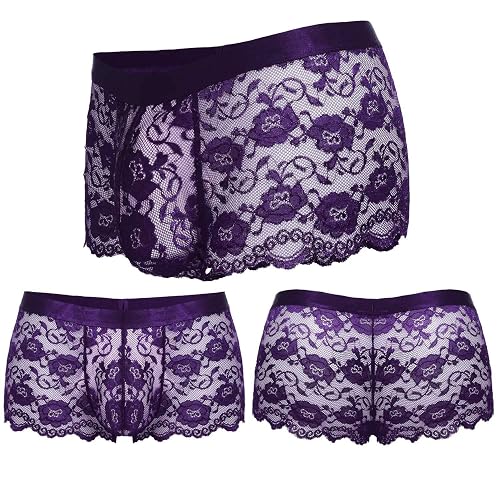 ADOME Mesh Lace Boxer Briefs Sexy Panties for Mens Men Sexy Underwear  Panties with Sexy Pouch Cheeky Panties (XX-Large,Purple) in Saudi Arabia |  Whizz Boxers