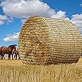 Jecarden Large Round Bale Hay Net 5x5ft Knotless Slow Feed Hay Net for Horse Round Bale Feeder Fits Round Bales 5x5', 4x4' an
