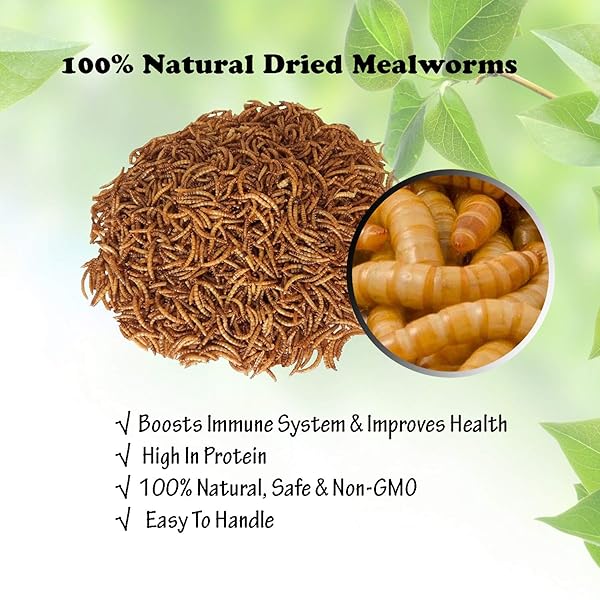 AMZEY DRIED MEALWORMS 11 LBS – 100% NATURAL FOR CHICKEN FEED, BIRD FOOD, FISH FOOD, TURTLE FOOD, DUCK FOOD, REPTILE FOOD, NON-GMO, NO PRESERVATIVES, HIGH PROTEIN AND NUTRITION