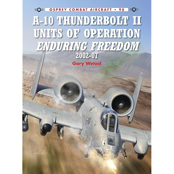 F-14 Tomcat Units of Operation Enduring Freedom (Combat Aircraft