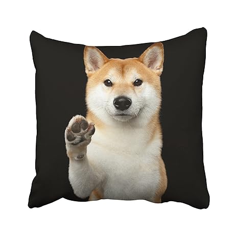 Amazoncom Emvency Red Funny Portrait Of Cute Shiba Inu Dog