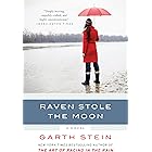 Raven Stole the Moon: A Novel