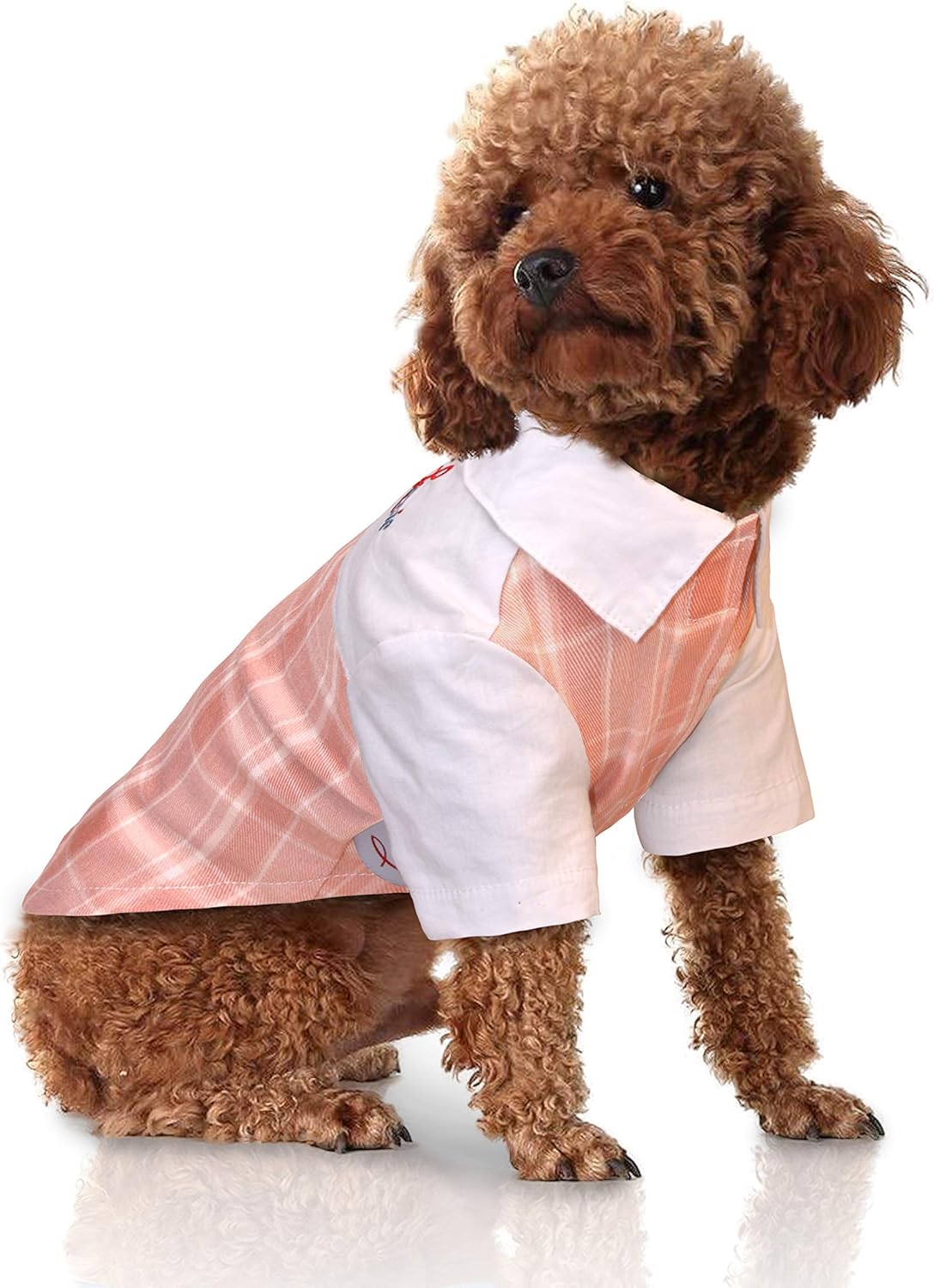dog clothes for large dogs on Amazon Com Kessie Dog Shirt Pet Plaid Polo Clothes Pet Tshirt For Small Medium Large Dogs Cats Puppy Xx Small Pink Kitchen Dining