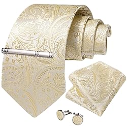 DiBanGu Silk Paisley Ties for Men Woven Necktie and