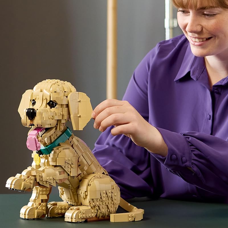Icons Le Chiot Golden Retriever 11384