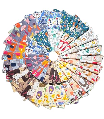 Amazon.com: All Star Charm Pack by Stacy Iest HSU; 42-5