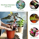 Augshy 110 Pcs 6 Inch Plant Nursery Pots Seed Starting Propagation view 6