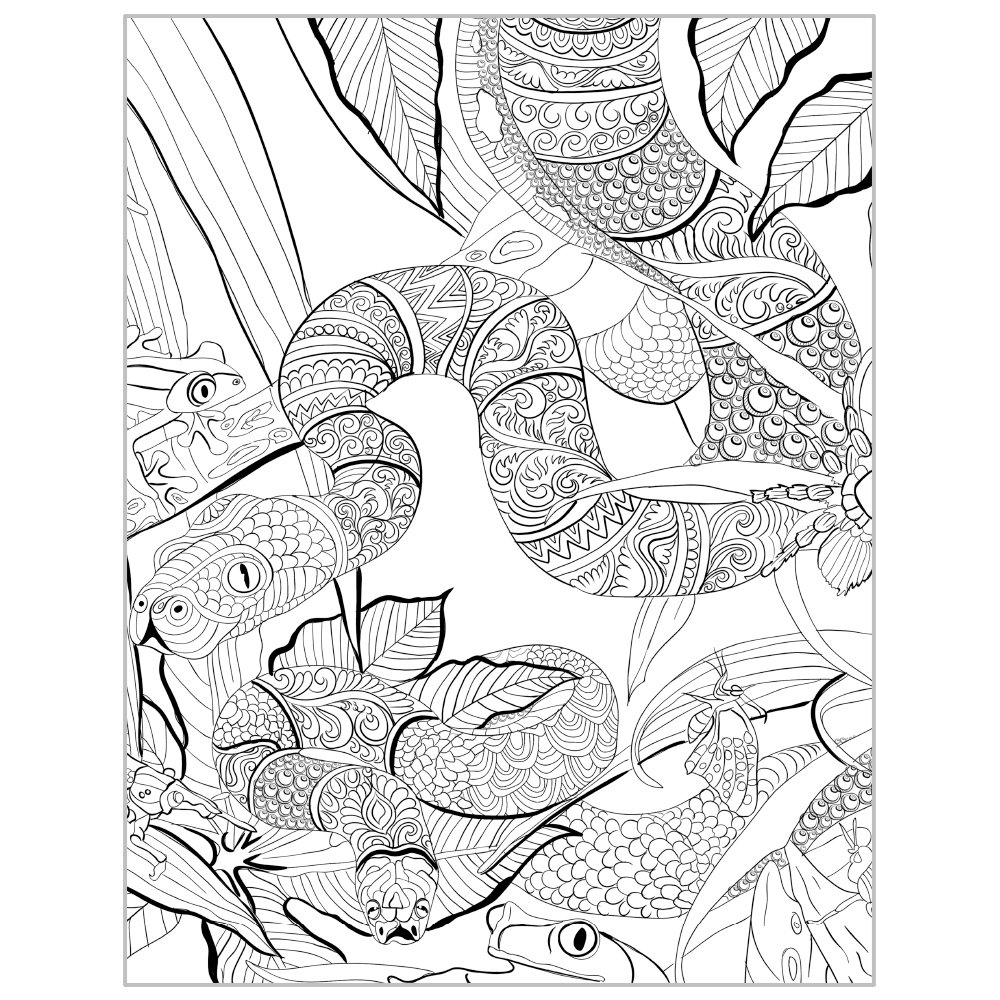 tree free Greetings libro da colorare per adulti acquario e Ocean tree free Greetings libro da colorare per adulti acquario e Ocean Animal design antistress Mindfulness e relax per adulti e bambini DB Amazon