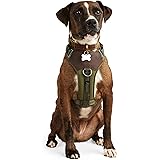 reddy dog harness amazon