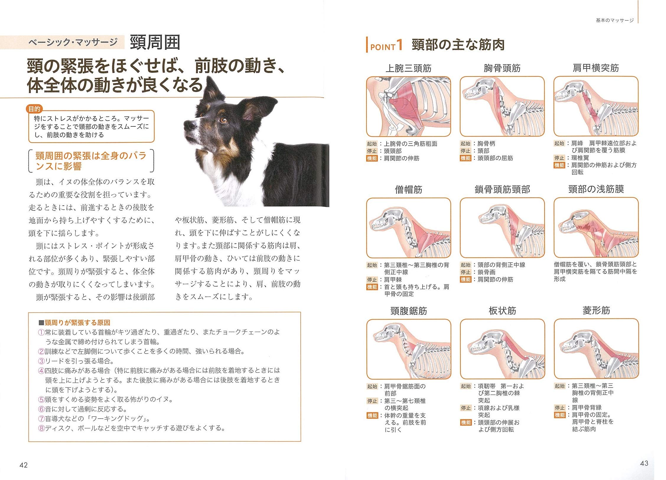 ドッグマッサージ 実践テクニックbook この一冊で基本から応用まで コツがわかる本 山田 りこ 本 通販 Amazon