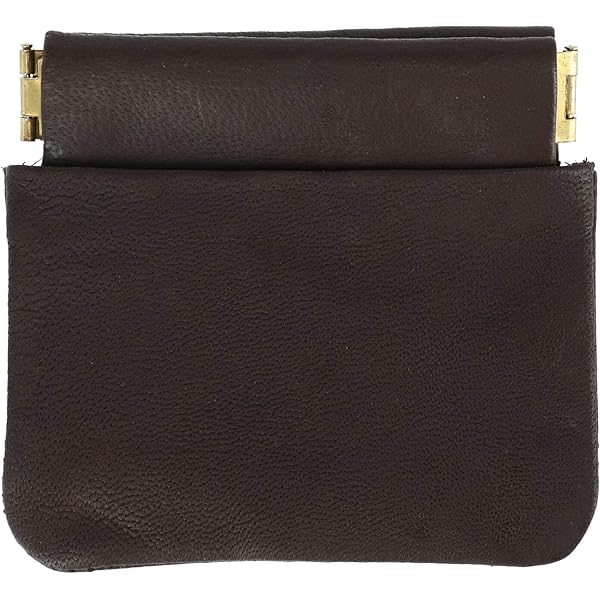 Amazon.com: Porter 007-02286 Enchase Coin Case Coin Case, green