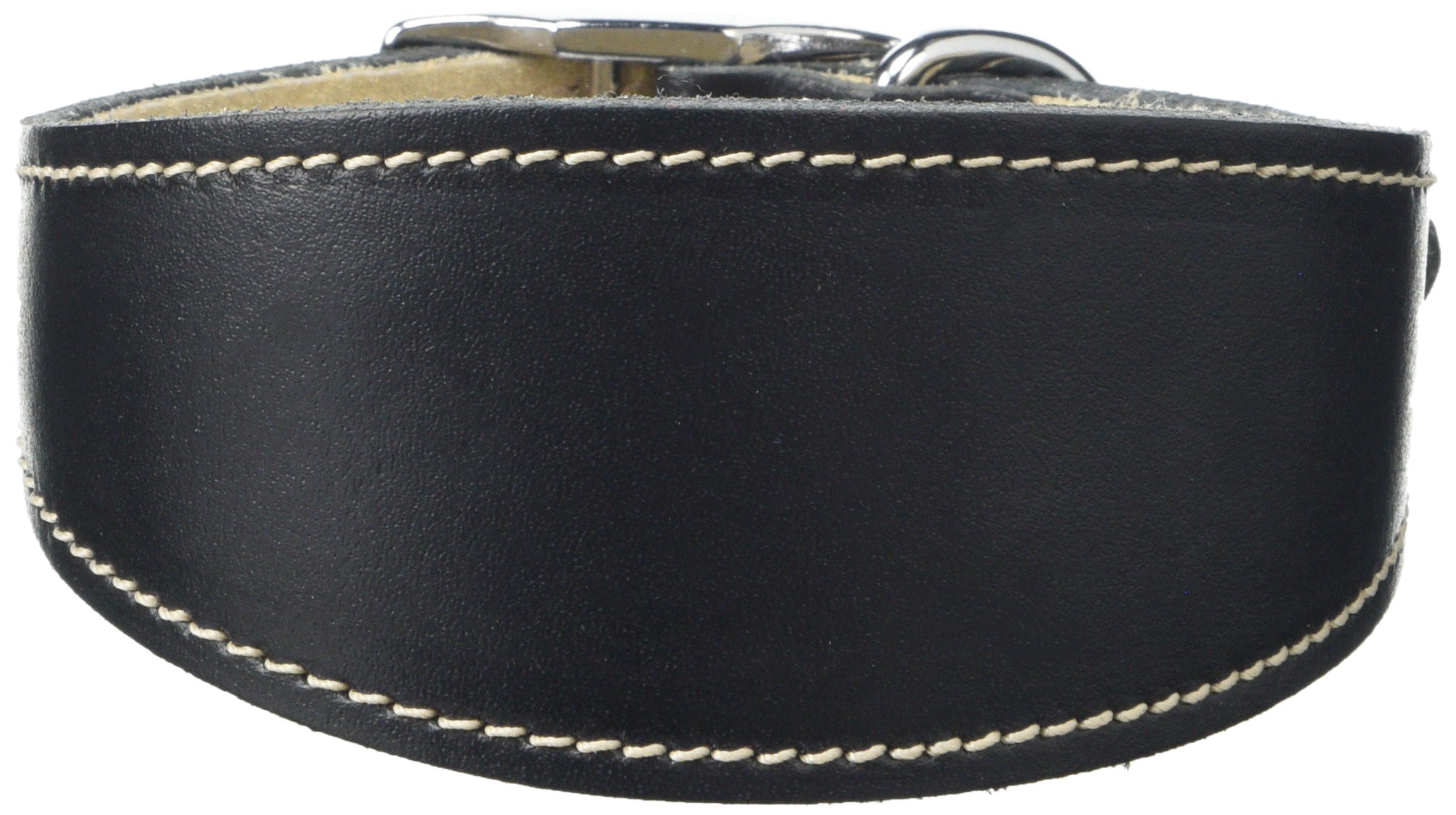 BBD Pet Products Whippet Collar, One Size, 3/4 x 10 to 12-Inch, Black