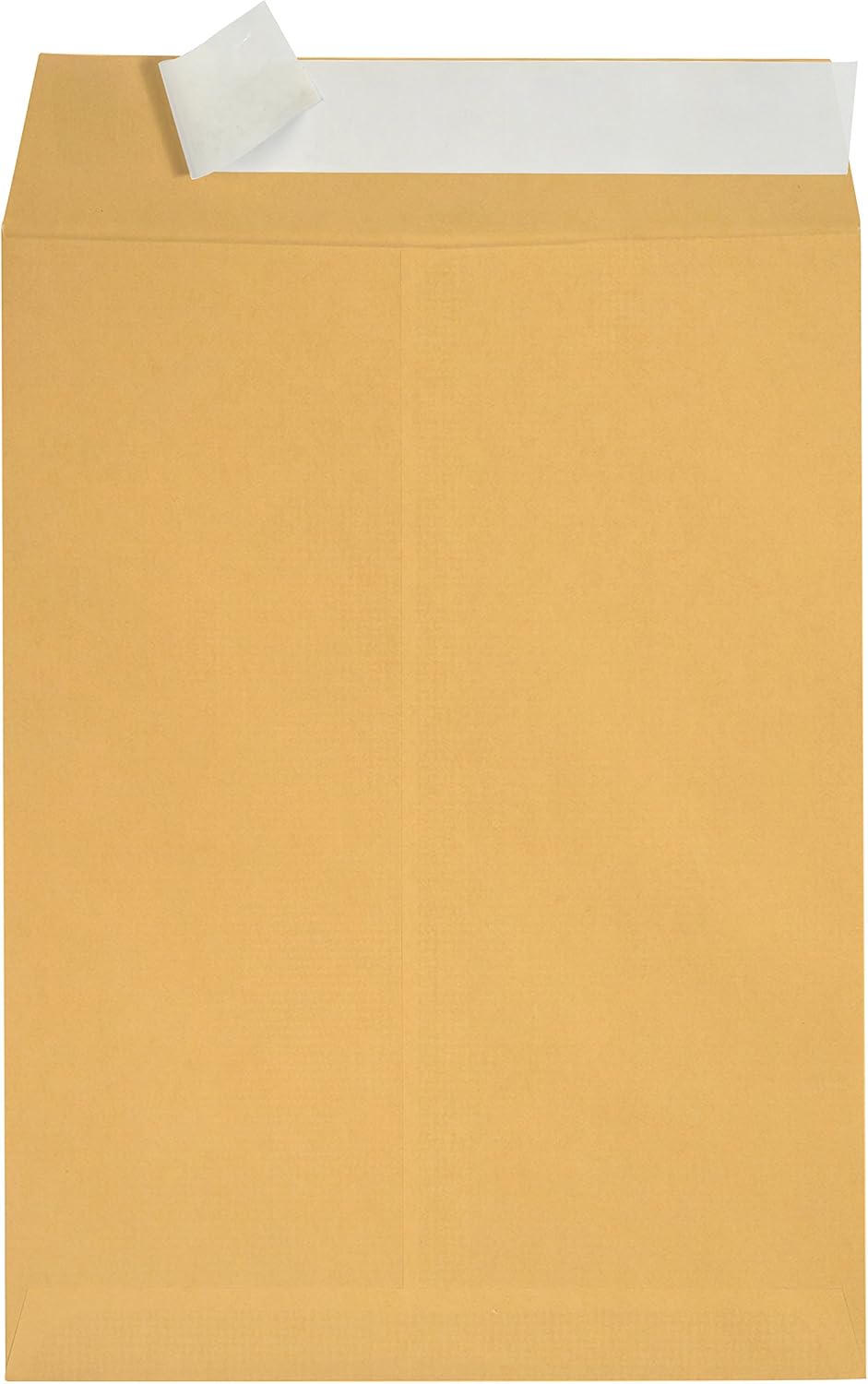 100 6 x 9 Self Seal Golden Brown Kraft Catalog Envelopes - Oversize 6 x 9 Envelope Peel and Seal Flap with 28 Pound Kraft Paper Envelopes - Printer Friendly Design - 100 Count : Office Products