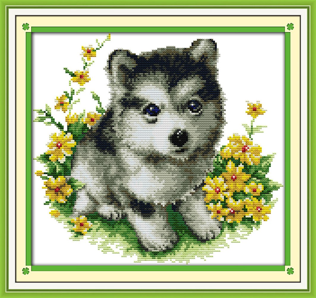 CaptainCrafts Cross Stitch Kits, Dog Stamped Cross Stitch Preprinted Fabric Cross Stitch DMC DIY Art Embroidery Kits (Preprinted 11CT, Husky Dog)