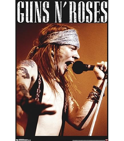 Amazon.com: Guns N Roses Poster 22 x 34in: Prints: Posters