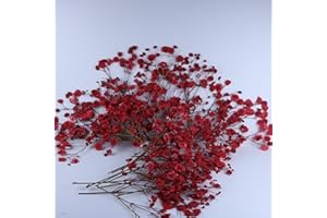 LYFORTZY 50 Pcs Red Baby's Breath Real Dried Pressed Flowers.Vacuum-Packed Mini Dried Baby's Breath Flowe Specimen +1 Tweezers, for Resin Art /DIY Making Wedding Card/ Home Party Decor.