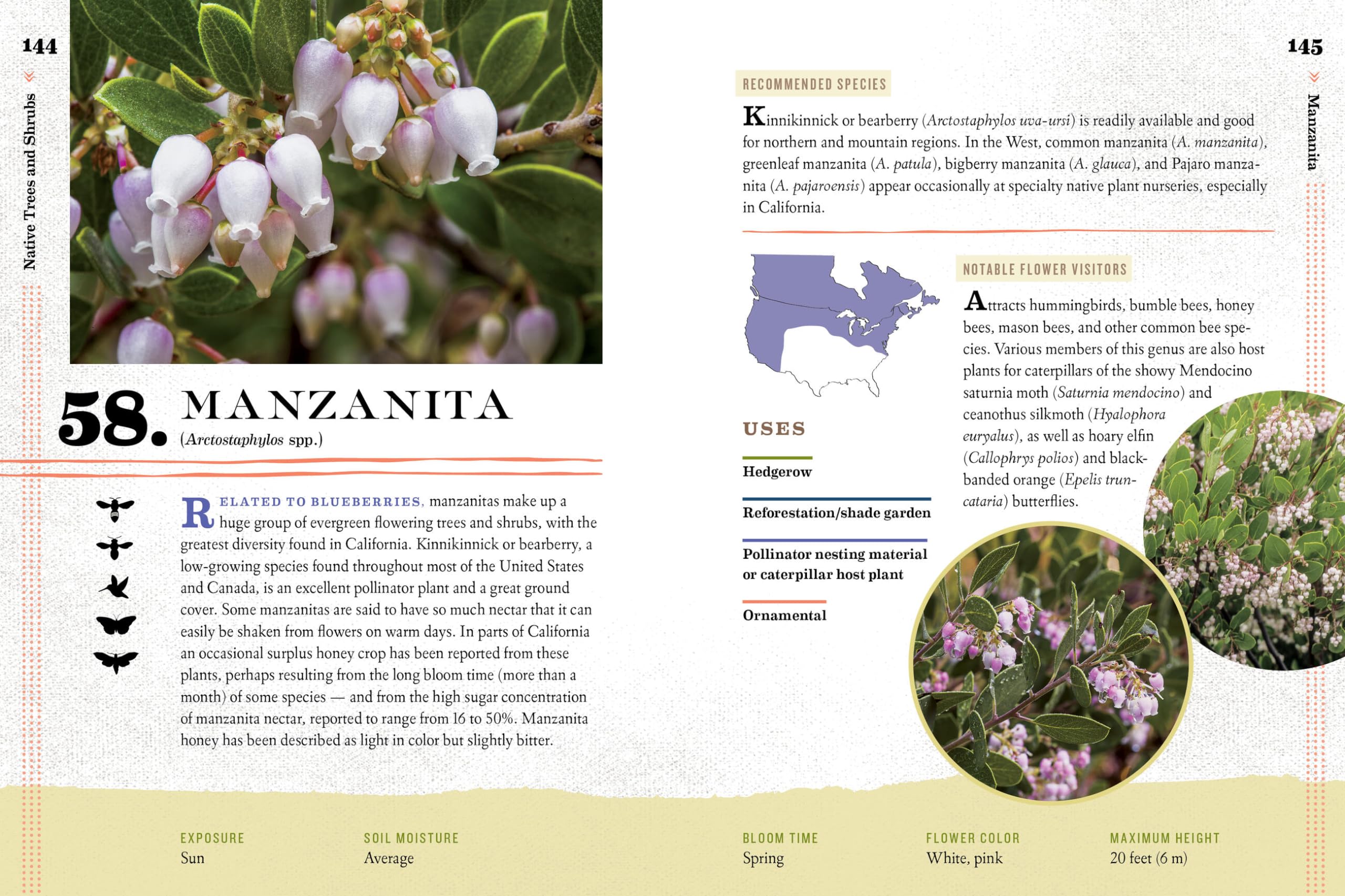 100 Plants to Feed the Bees: Provide a Healthy Habitat to Help Pollinators Thrive