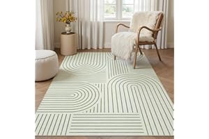 Dadasgk Washable Area Rug 5x7 - Boho Living Room Rug Soft Indoor Carpet Ultra-Thin Sage Green Modern Abstract Rainbow Rugs fo