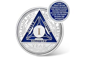 IELCJJ Recovery Triangle 1 Year Sobriety Coin - Silver Roman Numeral NA AA Coins - 1-40 Prime NA/HA/AA Chips and Medallions - Narcotics Alcoholics Anonymous Sober Gifts for Men Women