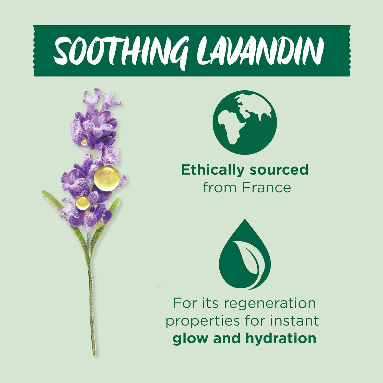 garnier lavandin eye cream