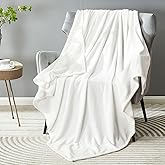 DREAMNINE Super Soft Fuzzy Fleece Throw Blanket for Couch Sofa 50" x 60", Decorative Solid Lightweight Velvet Blankets for Chair, Cozy Accent Shaggy Micro Plush Flannel Blanket for Bedroom Dorm, White