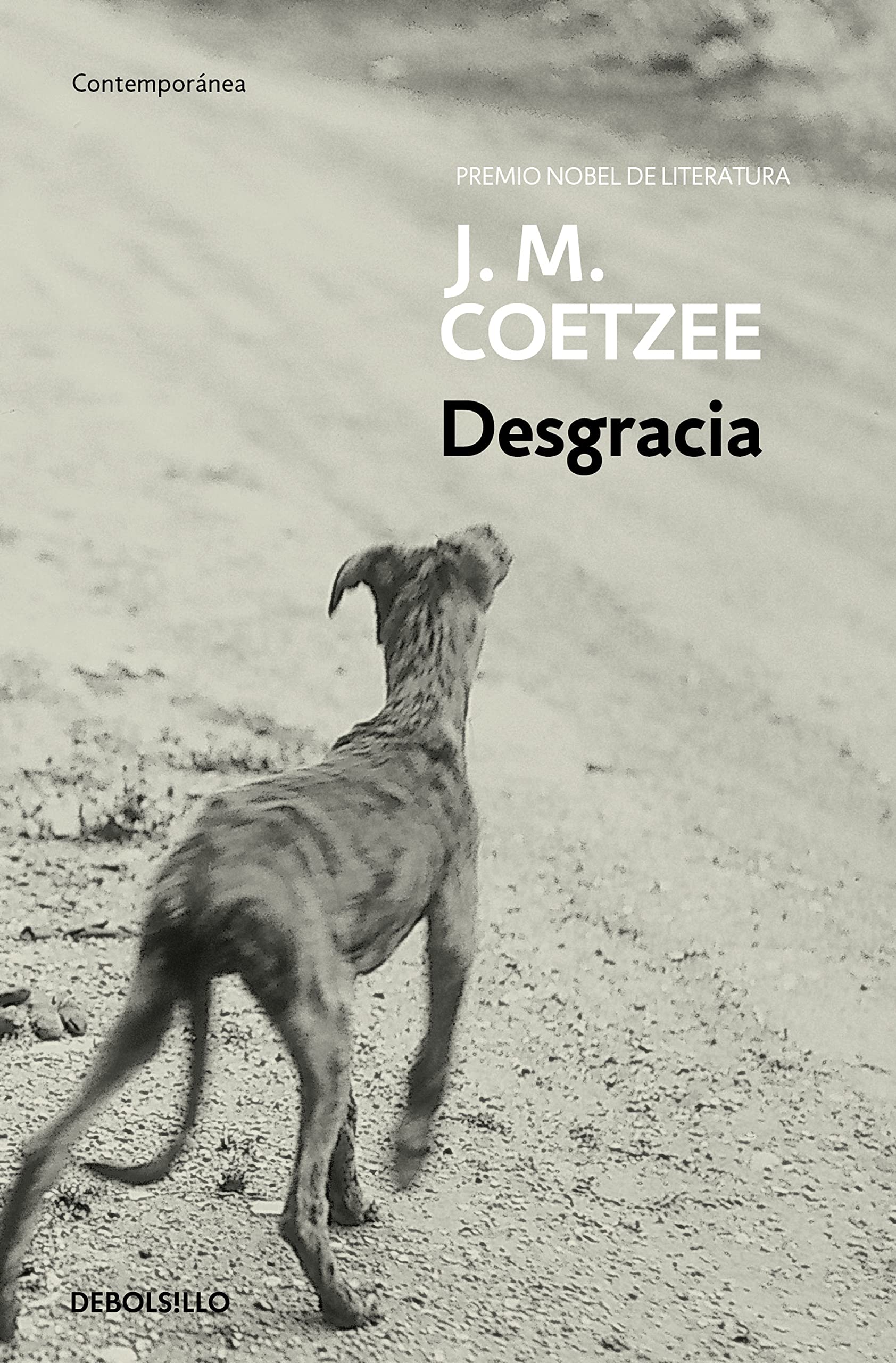 Portada de Desgracia (Contemporánea)