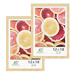 FrameWorks 2-Pack, 12x18 Matted to 11x17 Picture