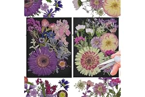 CONVELIFE Pressed Flowers, 40Pcs Real Nature Flowers Set with Tweezers, Dried Flowers for Resin DIY Jewelry Candle Soap Vase Making Nail Card Scrapbook Art Craft Floral Decors