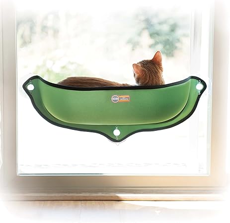 boxer puppies for sale near my location