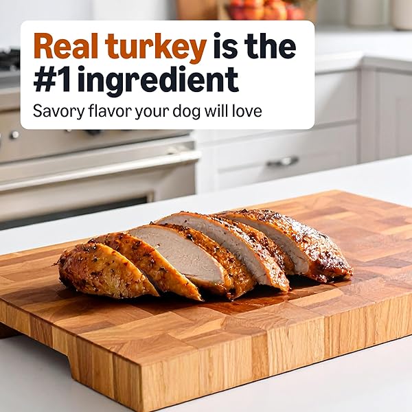 AMAZON BASICS WET DOG FOOD, TURKEY & SWEET POTATO DINNER, MADE WITH REAL TURKEY, 3.5 OZ CUP (PACK OF 12)