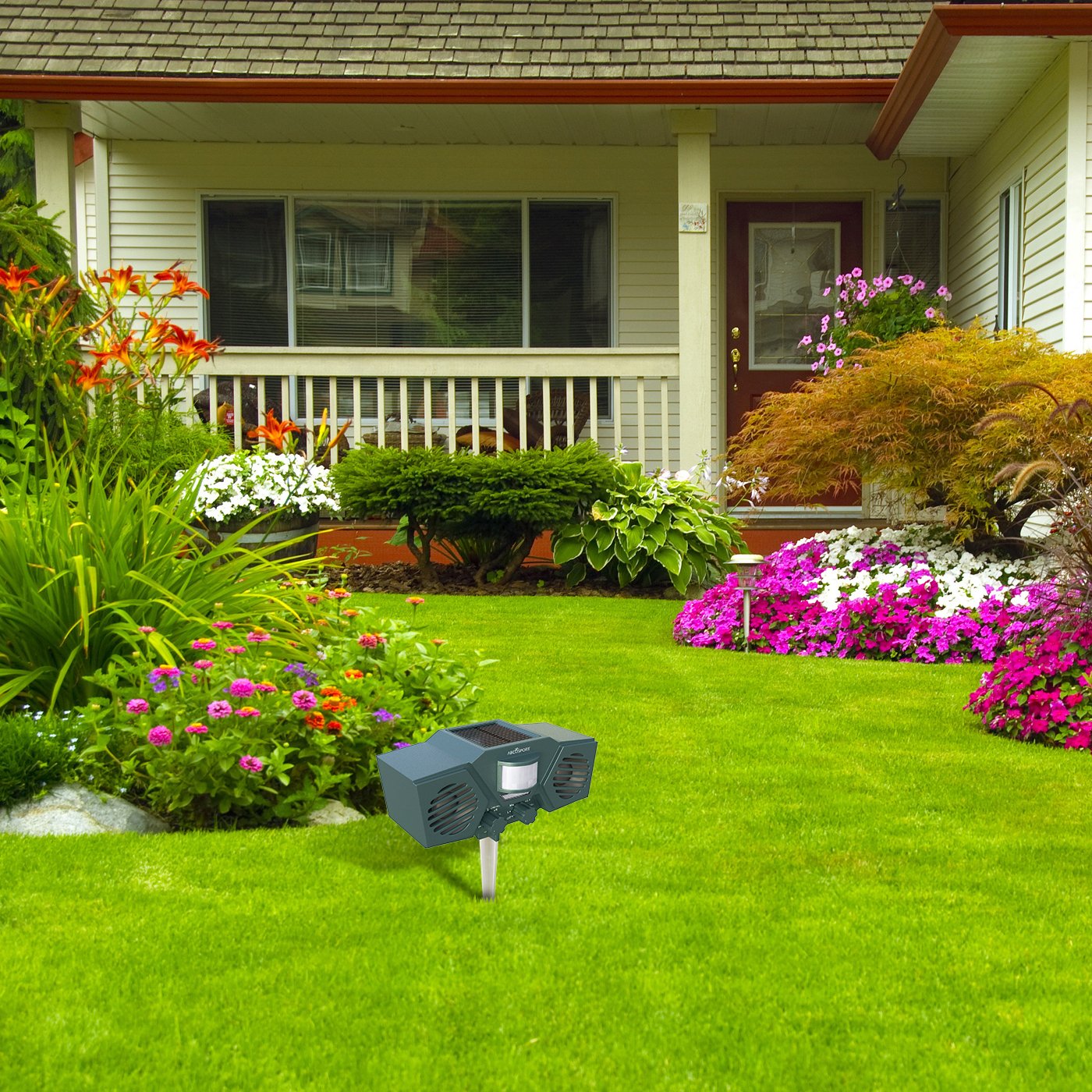 Amazoncom Ultrasonic Solar Animal Pest Repeller With 30