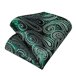 DiBanGu Silk Paisley Ties for Men Woven Necktie and