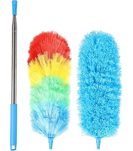 Amazon.com: Fuller Brush 56040 Large Surface Duster with Handle