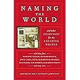 Naming the World: And Other Exercises for the Creative Writer