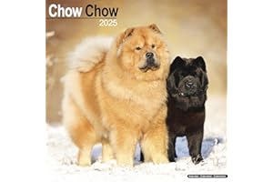 Chow Chow Calendar 2025 | Square Dog Breed Wall Calendar - 16 Month