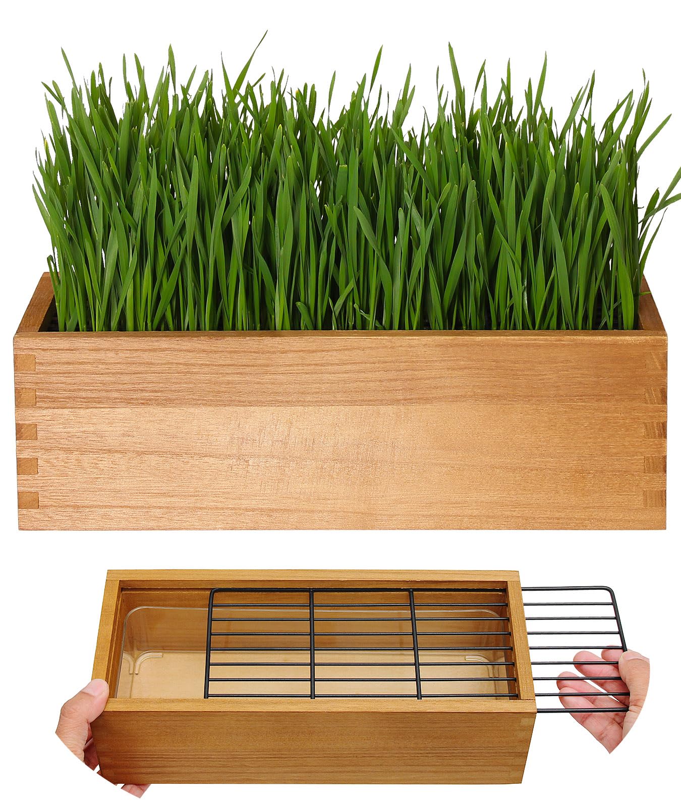 Photo 1 of BENPIN Wooden Cat Grass Planter (no Seeds Included) with Potting Soil Disks, Anti-Digging Grid and Removable Plastic Liner, Wheat Grass Growing Pot, Cat Grass Kit for Indoor Cats Pets (Aged Yellow)