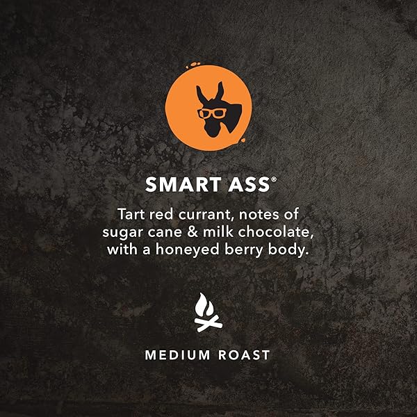 KICKING HORSE COFFEE, SMART ASS, MEDIUM ROAST, WHOLE BEAN, 2.2 POUND – CERTIFIED ORGANIC, FAIRTRADE, KOSHER COFFEE