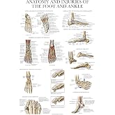 Palace Learning Laminated Anatomy and Injuries of the Foot and Ankle Poster - Anatomical Chart of Foot and Ankle Joint - 18" x 24"