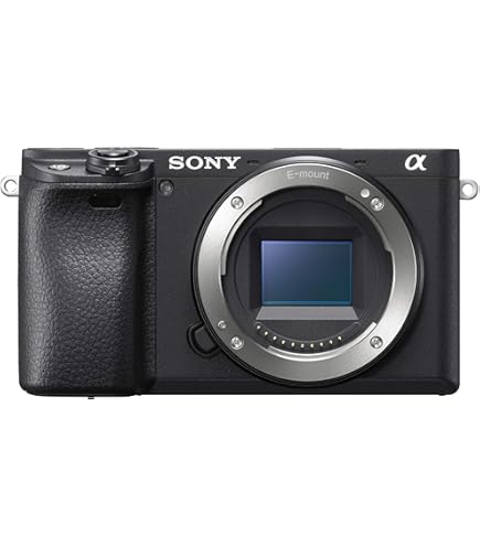 Amazon.com : Sony Alpha a6400 16-50mm : Electronics