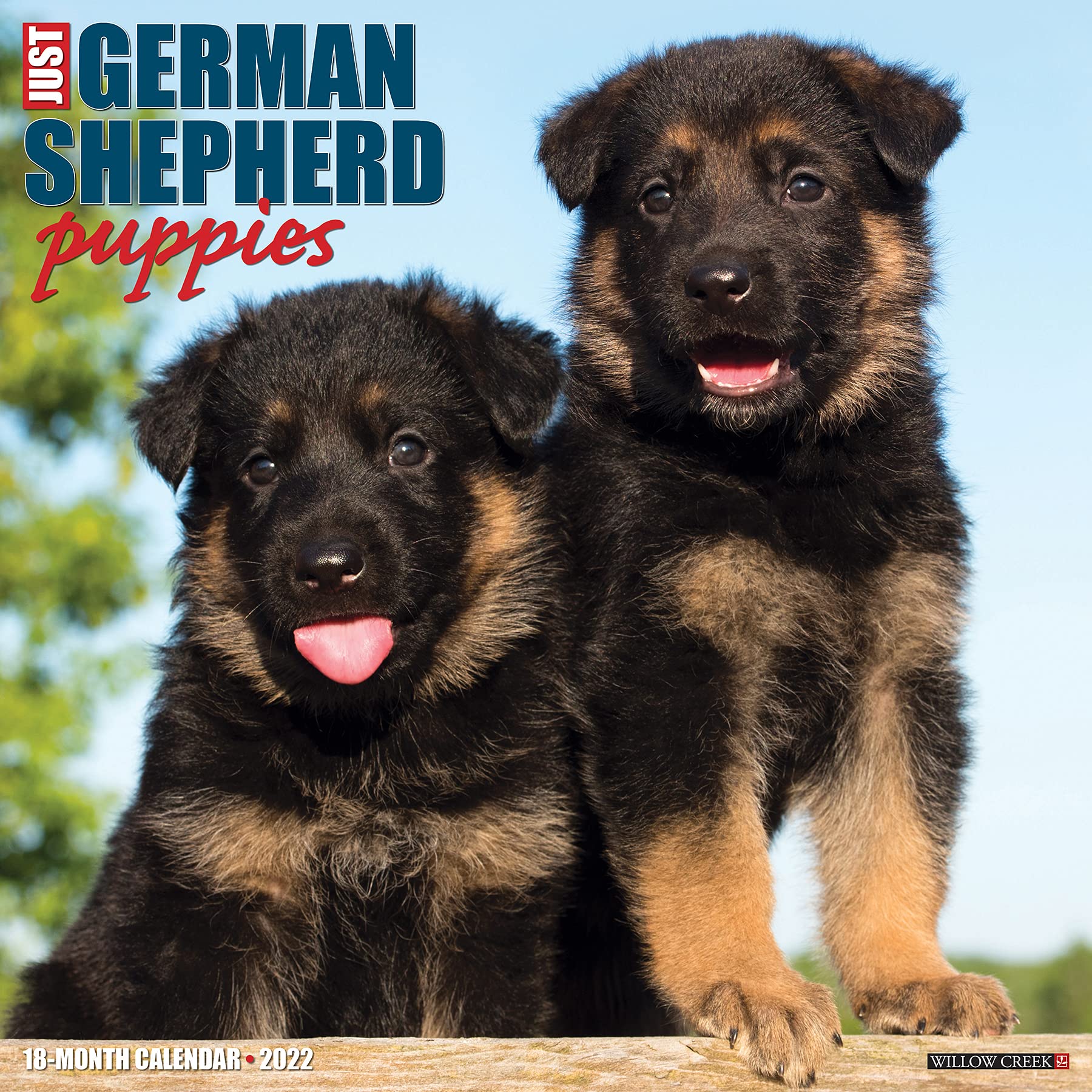 Just German Shepherd Puppies 2022 Wall Calendar Dog Breed Willow Creek Press 9781549218019 Amazon Com Books