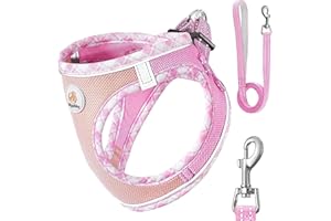 Hipubby Dog Harness Small Sized and Leash Set, No Pull Adjustable Reflective Step-in Puppy Pet Vest Harnesses for Small Mediu