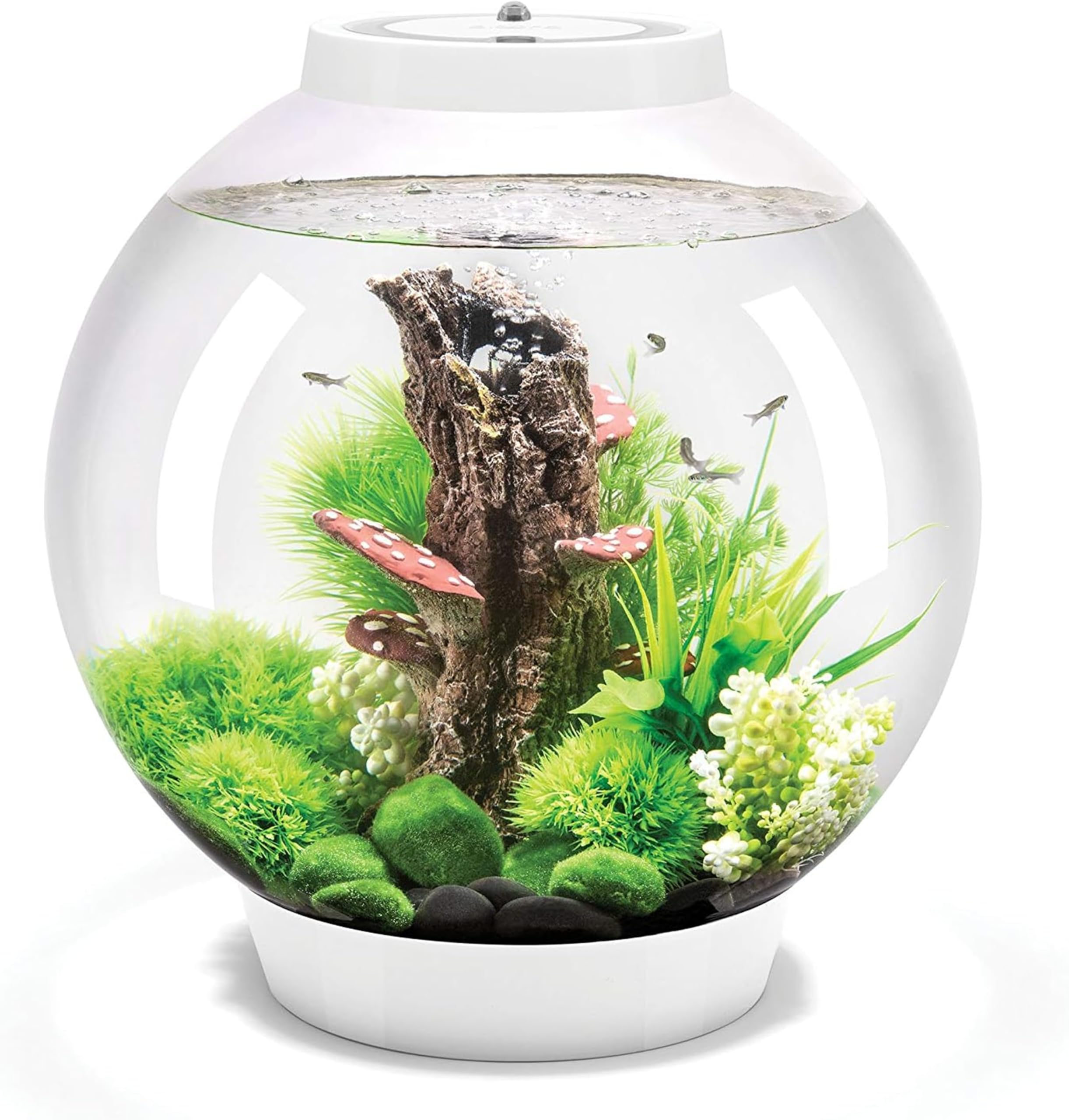biOrb 72007 CLASSIC 30 LED white - decorative aquarium complete set with filter system, LED lighting and ceramic gravel made of durable acrylic glass