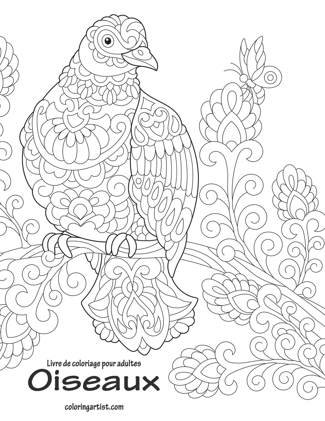 Livre De Coloriage Pour Adultes Oiseaux 2 Volume 2 French