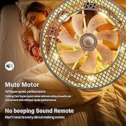 REDSTAR Caged Ceiling Fans with Lights, White