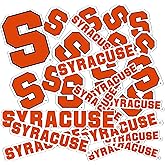 Desert Cactus Syracuse University Sticker Cuse Orange Vinyl Decals Laptop Water Bottle Car Scrapbook Sheet T1 (Type 1-1)