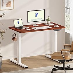 FLEXISPOT EN1 One-Piece Standing Desk 48 x 30 Inch