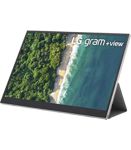 Amazon.com: LG 16MR70.ASDU 16'' IPS WQXGA +View Portable Monitor